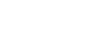 Bicep Techsol logo